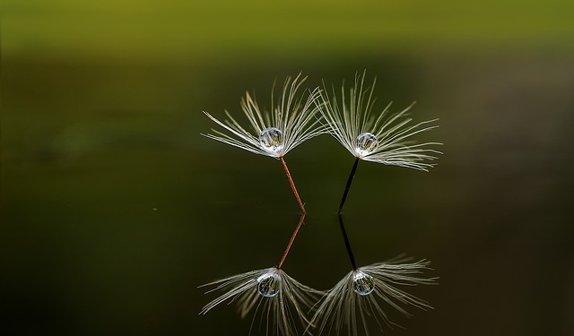 reflection